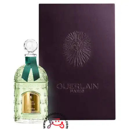 عطر ادکلن گرلن بايسر د روسی